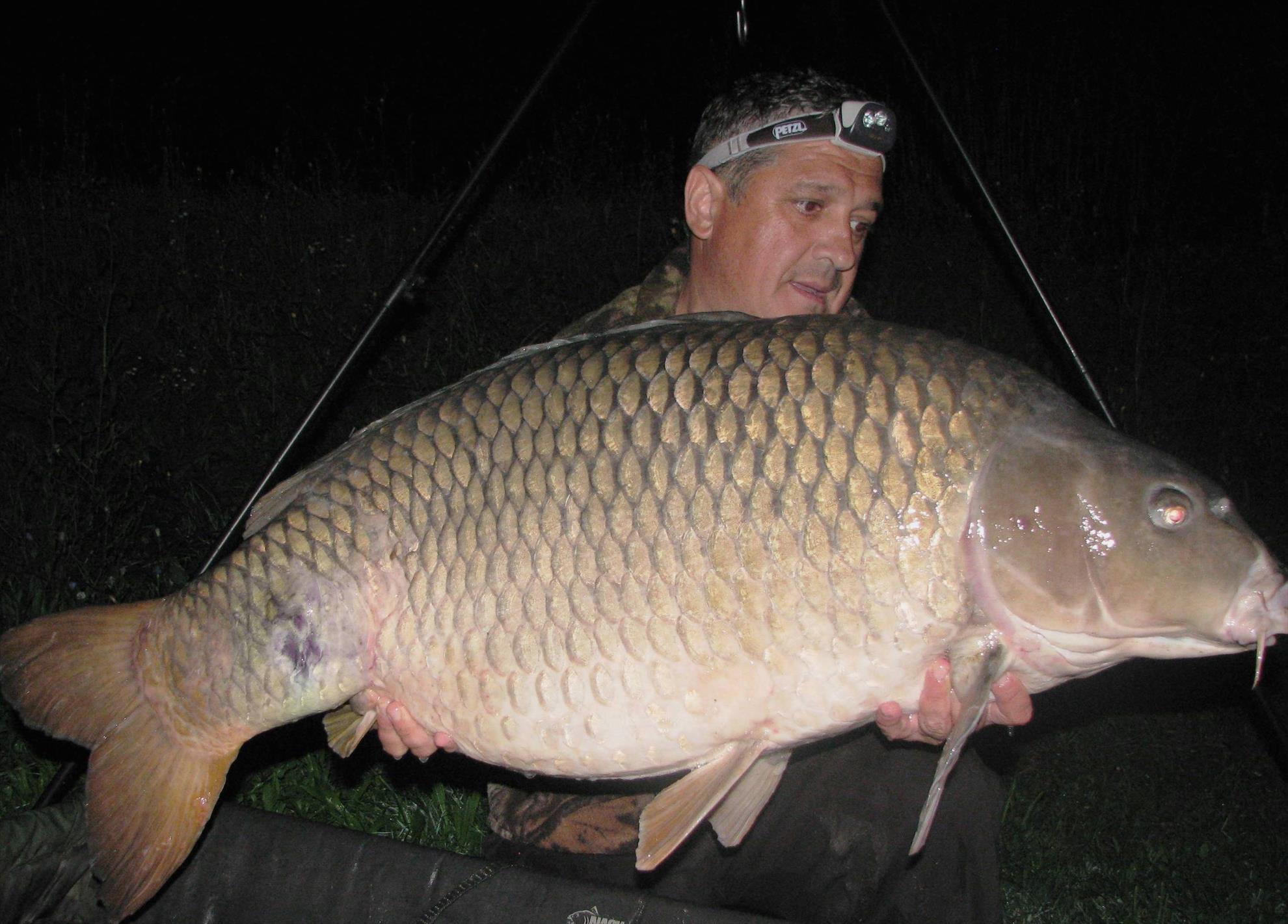 Balkan lake 19 - 26 septembrie 2015 - 28,8 kg